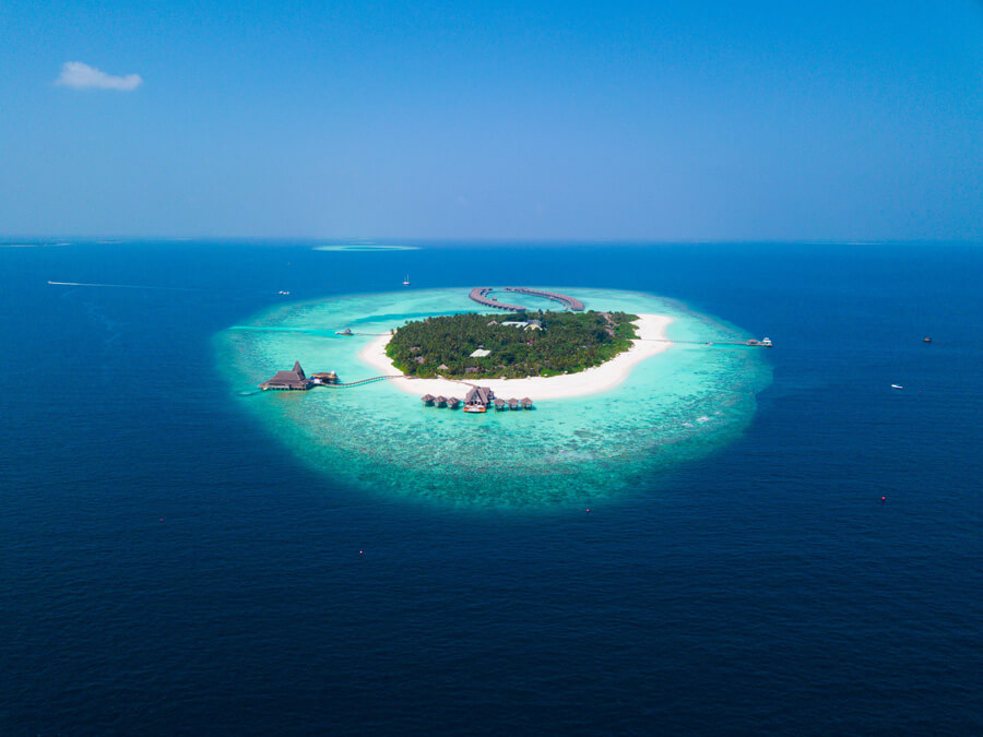 jungle travel maldives